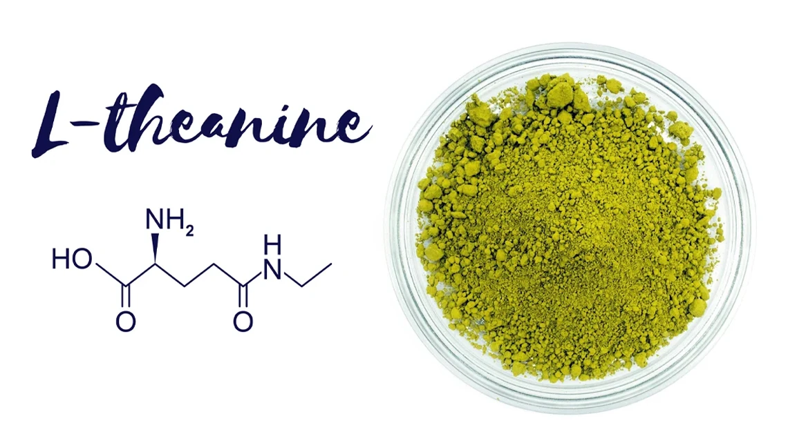 What Is L-theanine – Learn about its Effects and more